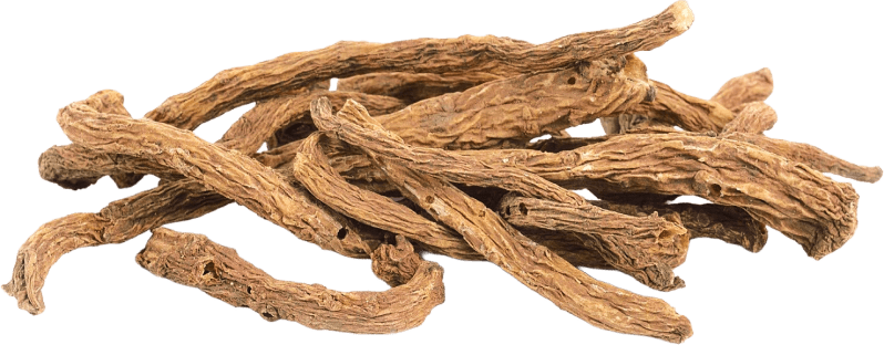 2. Angelica Gigas Root ingredient in Gold Align