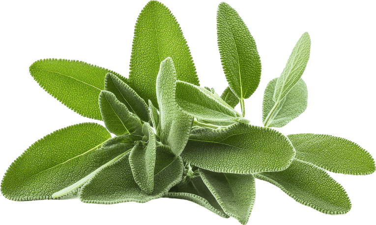 7. Sage ingredient in Gold Align
